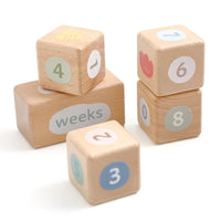 Wooden Baby Milestone Blocks – Engraved Beech Newborn Photo Props